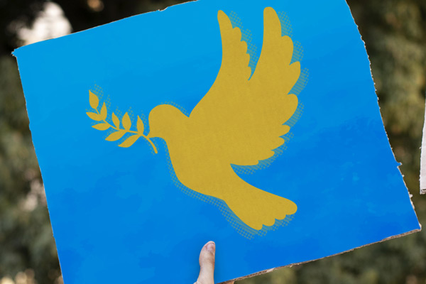 Plakat in den ukrainischen Nationalfarben mit Friedenstaube