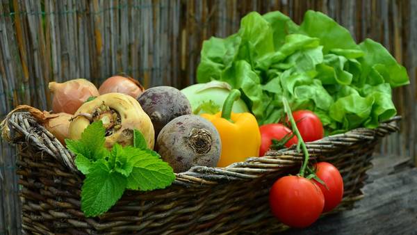Pixabay, congerdesign, Gemüsekorb, Gemüse, Garten, Salat, Essen, gesund