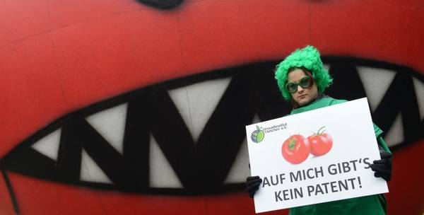 Demo, Tomate, Schrumpeltomate, Sarah, Brokkoli, Europäisches Patentamt