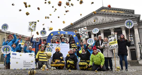 Großartiger Erfolg für Bienenretter:innen: Über eine Million Stimmen für 