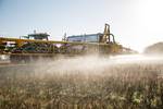 Konzentration Agrarmarkt: Bayer will Monsanto aufkaufen (Foto: iStock)
