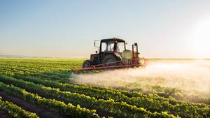 Tausende Tonnen an Pestiziden werden in der EU jedes Jahr ausgebracht, wie wir aus Verkaufsstatistiken wissen. Doch wie viele genau, bleibt ein Rätsel © Dusan Kostic / fotolia.com).
