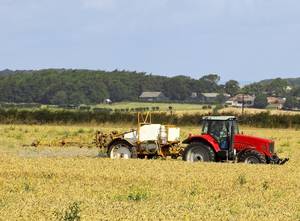 Traktor, Weizen, Feld, Pestizid