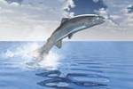 Bild: HelleM / Fotolia