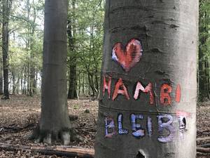 Grafito im Hambacher Forst 