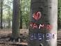 "Hambi bleibt!" - Graffito im Hambacher Forst (Foto: Philip Bedall/ Umweltinstitut München)