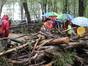 Hölzer auf Waldwegen - Protest gegen die Rodungspläne (Foto: Twitter @Infozentrale/ pic.twitter.com/QxIAsoaA0s )