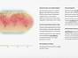 Grafik: Klima-Allianz Deutschland