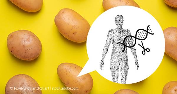 Menschliche DNA in Kartoffeln (Bild: Pixel-Shot, anttoniart / Adobe Stock)