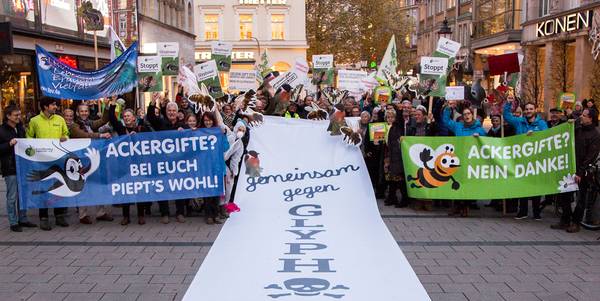Foto: Armin Thalhammer