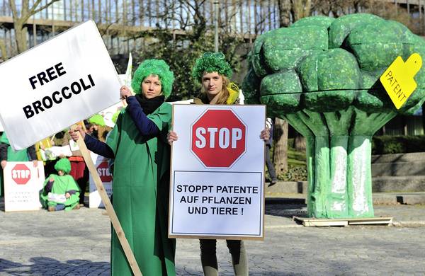Einspruch und Protest gegen Brokkoli Patent