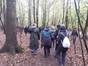 Waldspaziergang (Foto: Twitter @SWeiermann/ pic.twitter.com/ViS89YOUim )